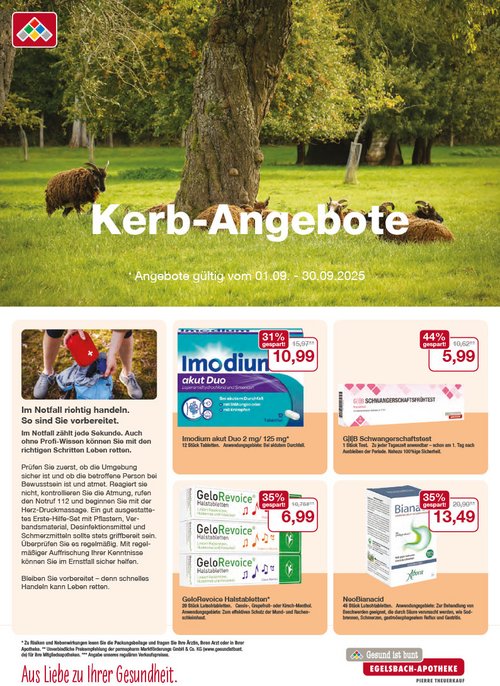Flyer mit September-Angeboten