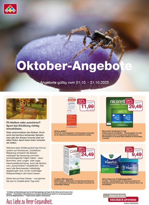 Angebote Oktober